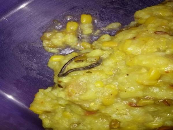 Baby snake found in mid-day meal Baby snake found in mid-day meal