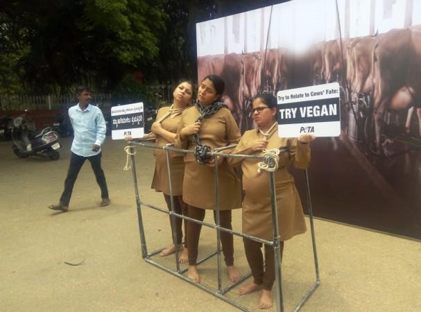 In picture: A man walks past a PETA India demonstration outside Lal Bagh Botanical Gardens in Bengaluru on Friday, May 12, 2017. PETA India demonstration