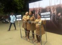 PETA India demonstration