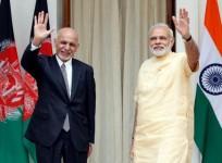 Modi Ghani