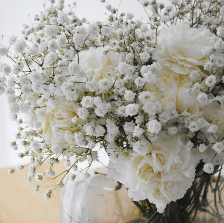 Picture for representational purposes White Carnations flowers