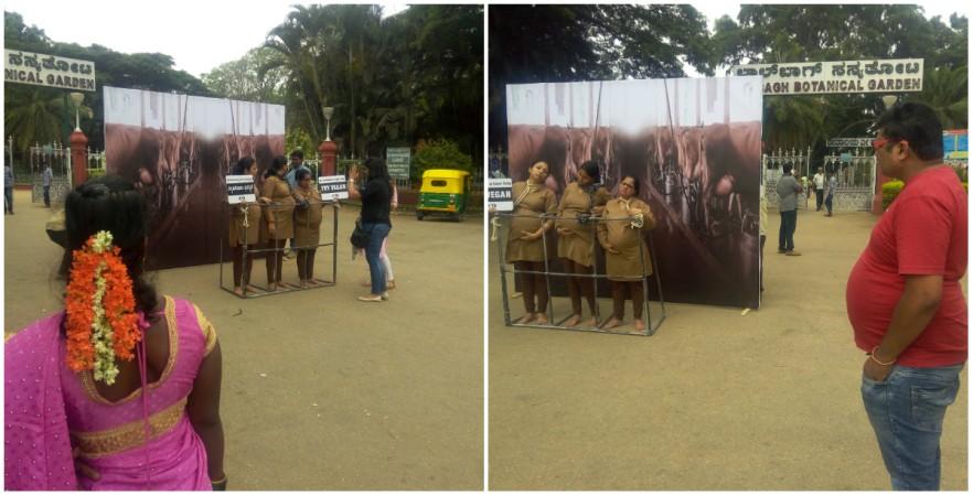 In picture: A composite photo shows people stopping to look at the PETA protest in Bengaluru on Friday, May 12, 2017. PETA India protest