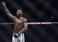 Anthony Johnson, Anthony Johnson retirement, Anthony Johnson cannabis, cannabis, UFC news