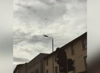 Giant swarm of bees bring London borough to a standstill at rush hour