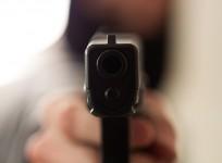 Gun