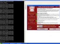 WannaCry Decryption tool aka Wannakey