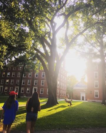 Harvard University campus Harvard University