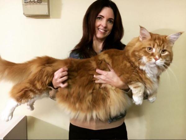 Omar with his owner Stephy Hirst Omar cat