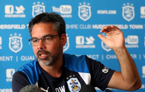 David Wagner. Huddersfield Town, Reading, Huddersfield Town vs Reading, Championship play-off final, David Wagner, Jaap Stam