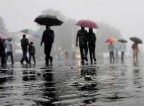 Rain