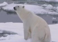 Donald Trump pulls US out of Paris climate agreement