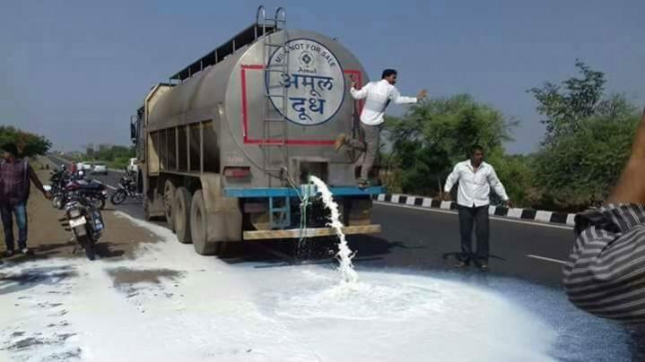 Maharashtra farmers on strike Ryots spill milk in Maharashtra