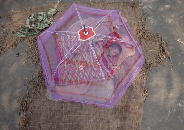 A new-born born baby sleeps under a mosquito net. zika virus, Aedes, health, prevention,