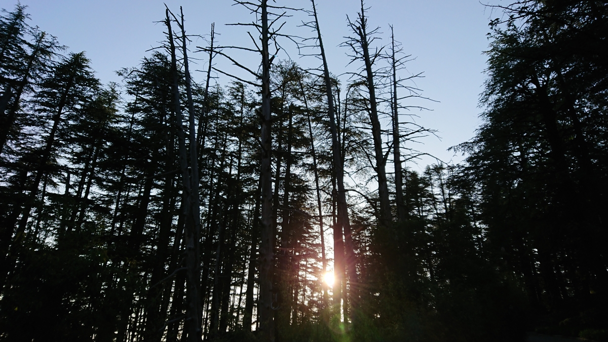 Sony Xperia XZ Premium camera sample Sony Xperia XZ Premium camera sample