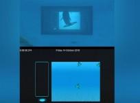 Dolphins are intelligent enough to operate touchscreens