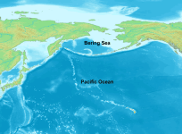 Bering sea