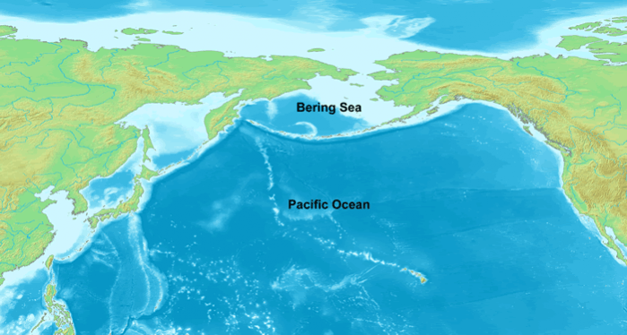 Bering sea Bering sea