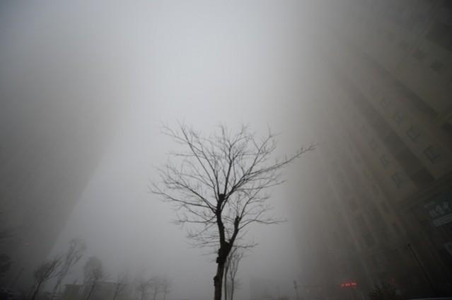 Buildings nearly invisible on a heavy smog day in China. World Environment Day, nature shocking photos