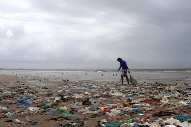 A volunteer collects garbage as he cleans a beach in Mumbai, India. World Environment Day, nature shocking photos