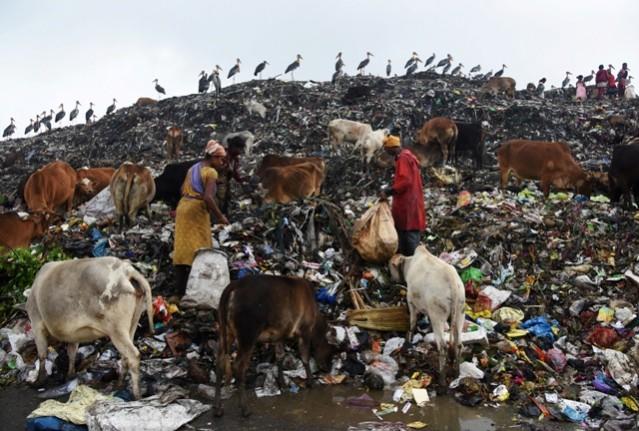 Scavengers collect recyclable materials at a garbage dump site on the occasion of Earth Day, in Guwahati, India. World Environment Day, nature shocking photos