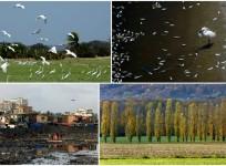 World Environment Day, nature shocking photos