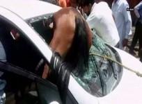 Horse stuck in car windshield