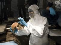 skeleton, history, war, Thirty Years' War, religious war,