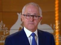 Australian PM Malcolm Turnbull vows to find and kill terrorists