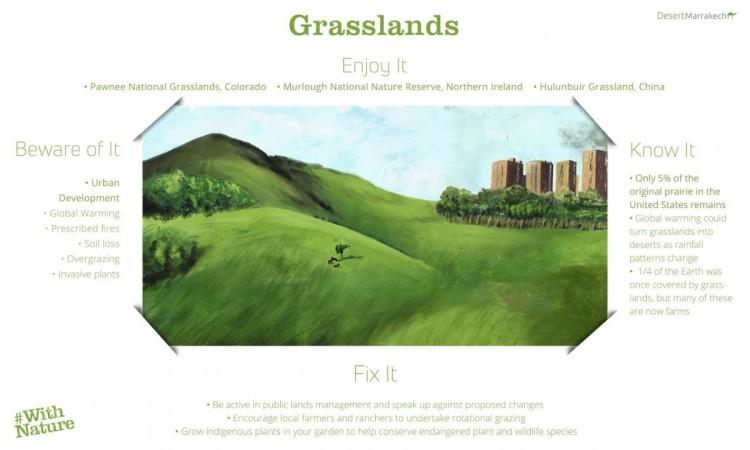 World Environment Day, grasslands,