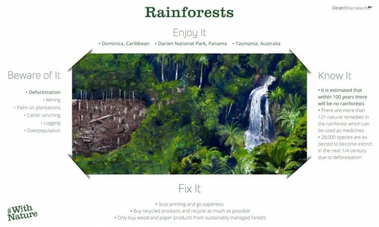 World Environment Day, rainforest,