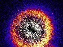 nasa, hubble, nasa image, Vermin galaxy, space,