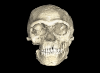 Earliest ever modern humans discovered showing homo sapiens are 100,000 years older than we thought