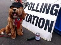 Dogs at polling stations takes social media by storm yet again