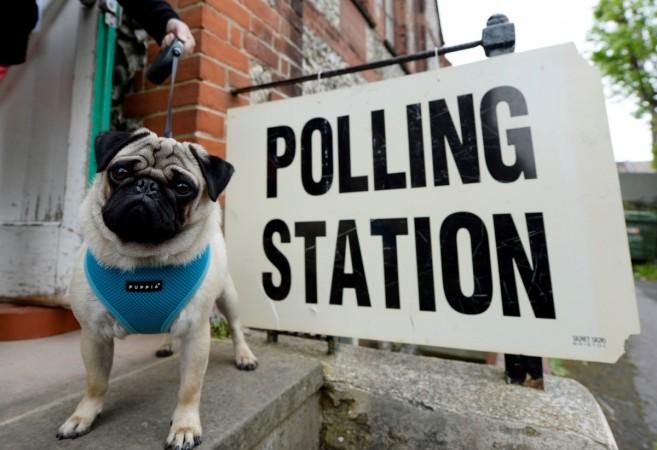 A voter arrives with a dog at a polling station in Brighton, Britain June 8, 2017. UK polling booth