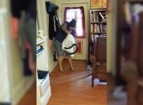 Terrifying moment woman catches six-foot snake with pillow case