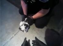 Heroic police officers rescue puppy choking on cheese