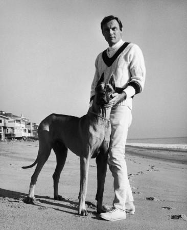 American actor Adam West, best known for his TV role as Batman, with a great dane he calls 'Batdog', circa 1967. Adam West as Batman