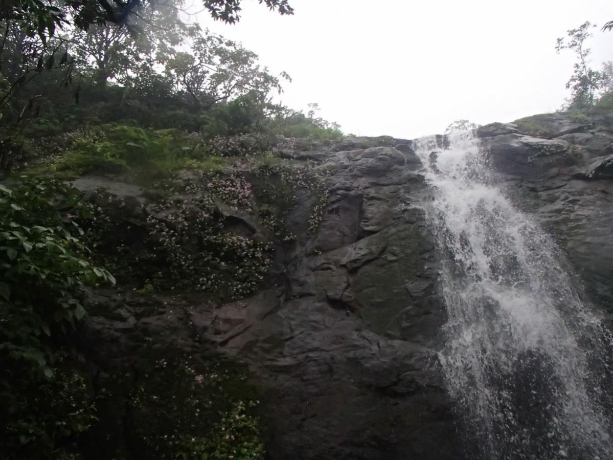 Malshej Ghat Monsoon destination