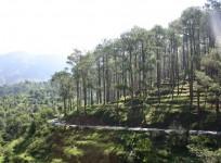 Monsoon destination