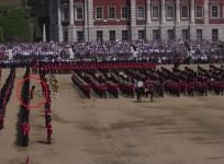 Guardsman collapses during Queens birthday celebrations