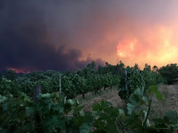Smoke rises from a forest fire, seen from the village of Mourisco in central Portugal, June 17, 2017. Portugal Fires