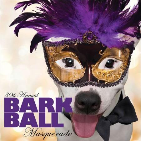 Barkball: This masquerade ball for dogs Bark Ball