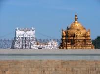 No GST on Tirupathi laddus