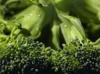 Broccoli, cruciferous, vegetables, diabetes, type 2, health,