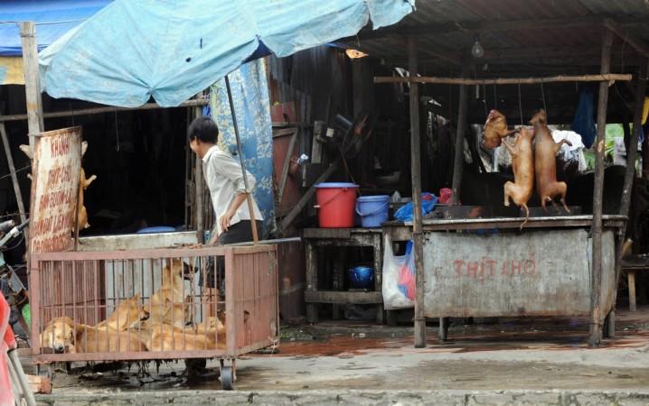 A dog slaughterhouse is seen in Hanoi on May 18, 2009. Dog slaughterhouse