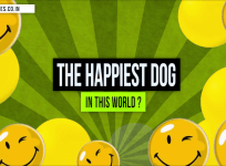 Happiest dog in the world