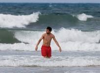 cesc fabregas