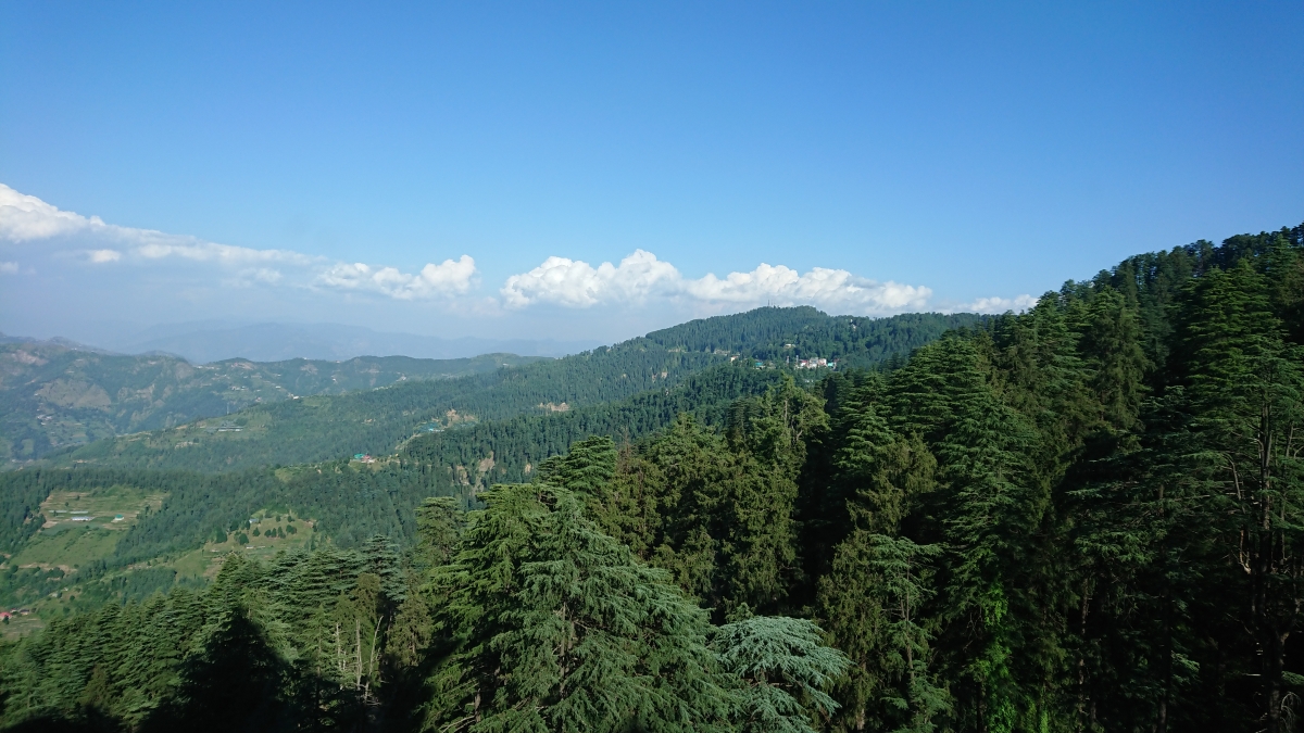 Sony Xperia XZ Premium Review: Camera samples