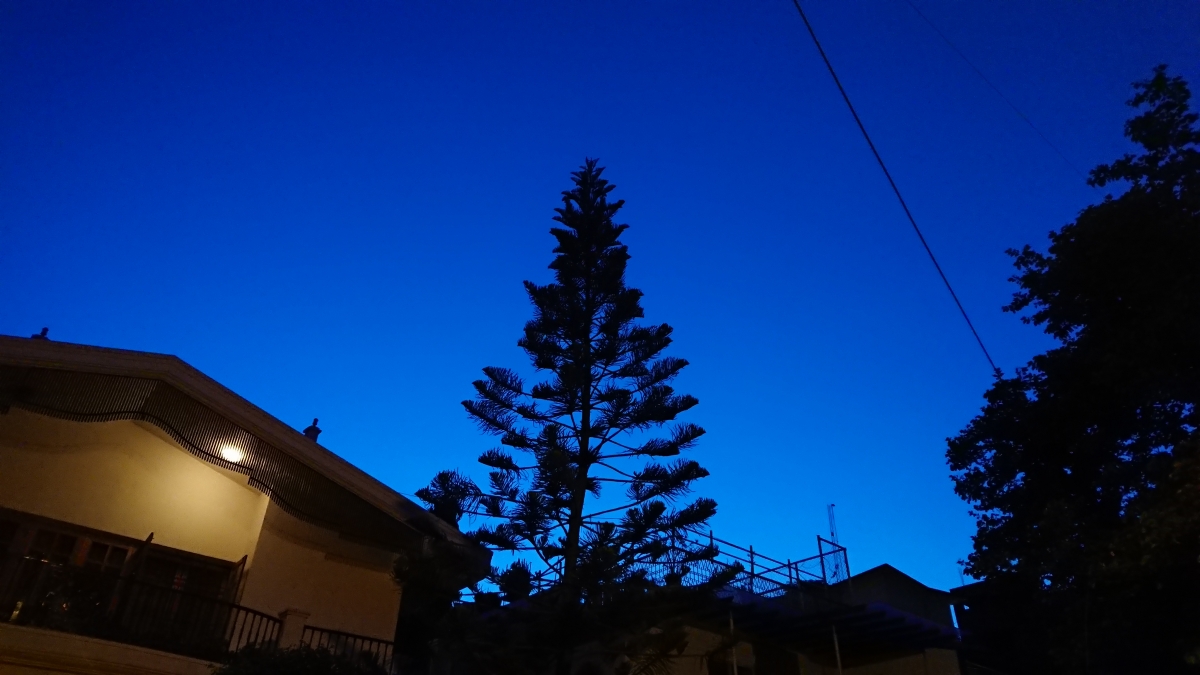 Sony Xperia XZ Premium Review: Camera samples