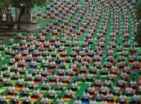 People doing Yoga on International Yoga day